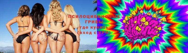 это как зайти  Неман  Псилоцибиновые грибы ЛСД  как найти  